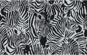 Viscosa Zebras