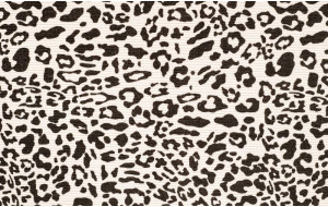 Pana Leopardo Crudo