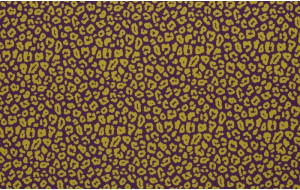 Tara 3m Popelín Leo...