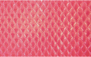 Tara 62 cm Acolchado...