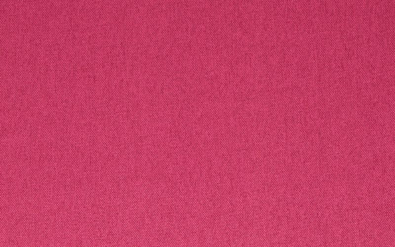 Room Fucsia