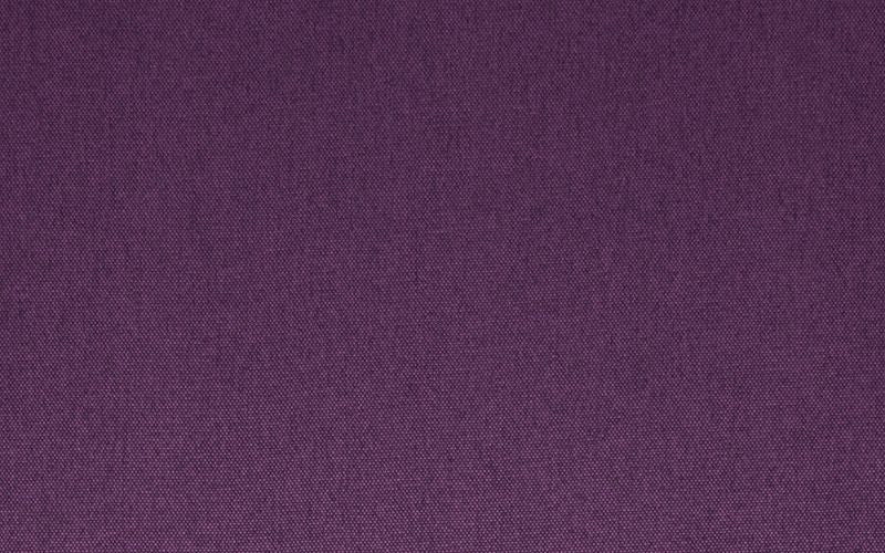 Room Morado