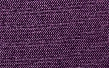 Room Morado