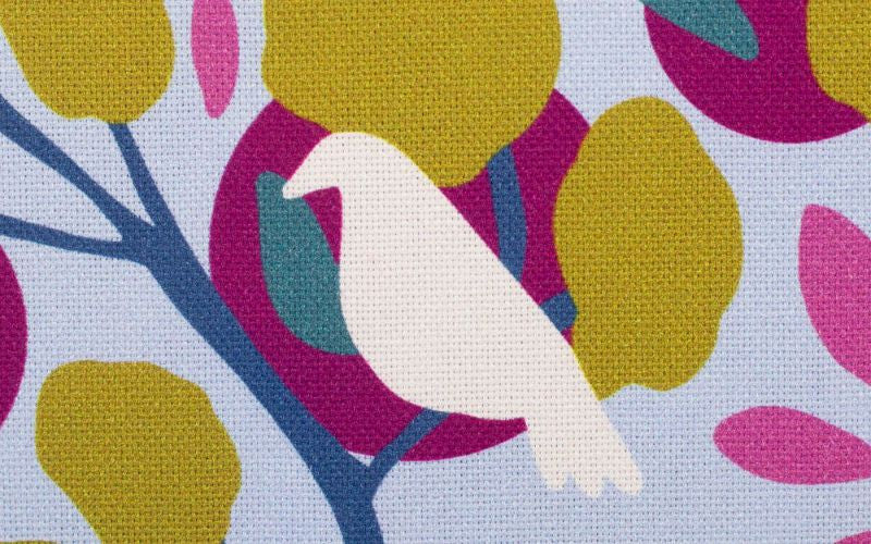 Canvas Bird Celeste