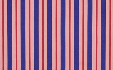 Canvas Multirayas Rosa