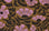 Green Floral Canvas