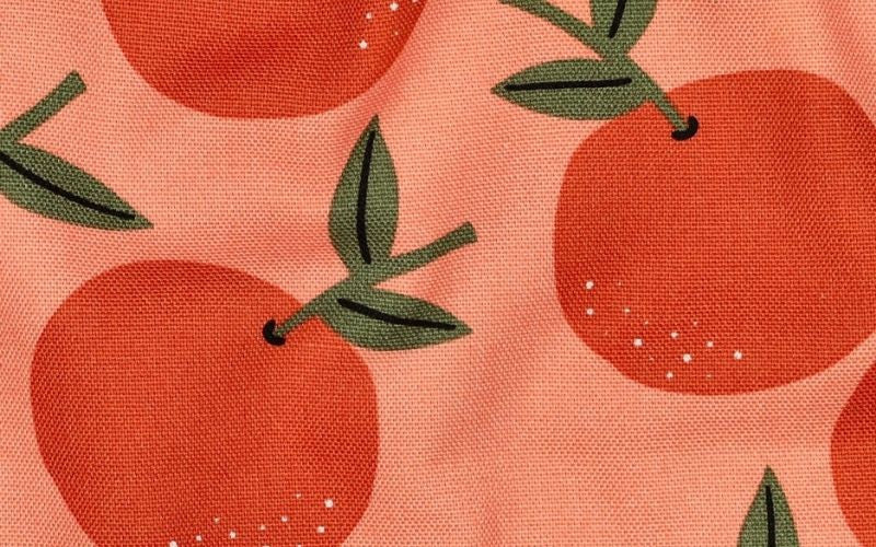 Orange Fruits Canvas