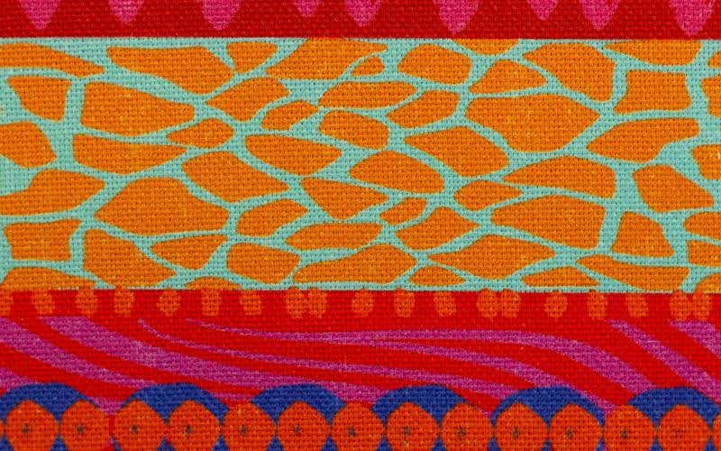 Canvas Wild Stripe