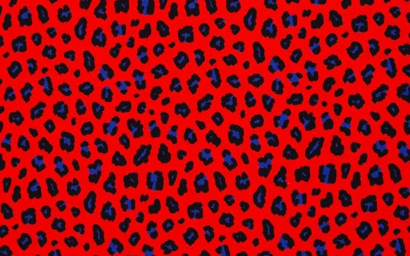 Abby Animal Print Orange Canvas