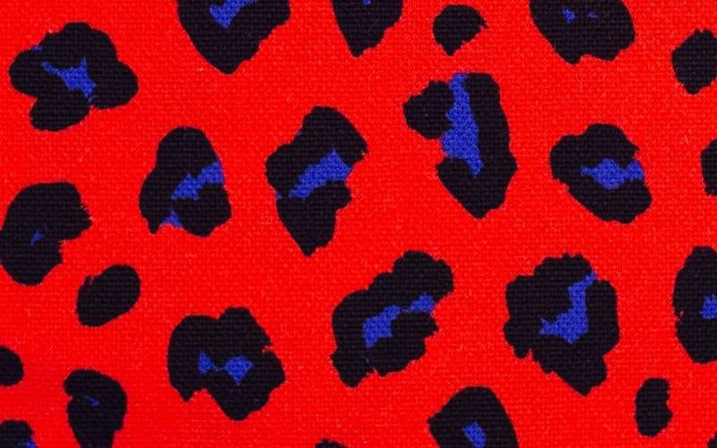 Abby Animal Print Orange Canvas