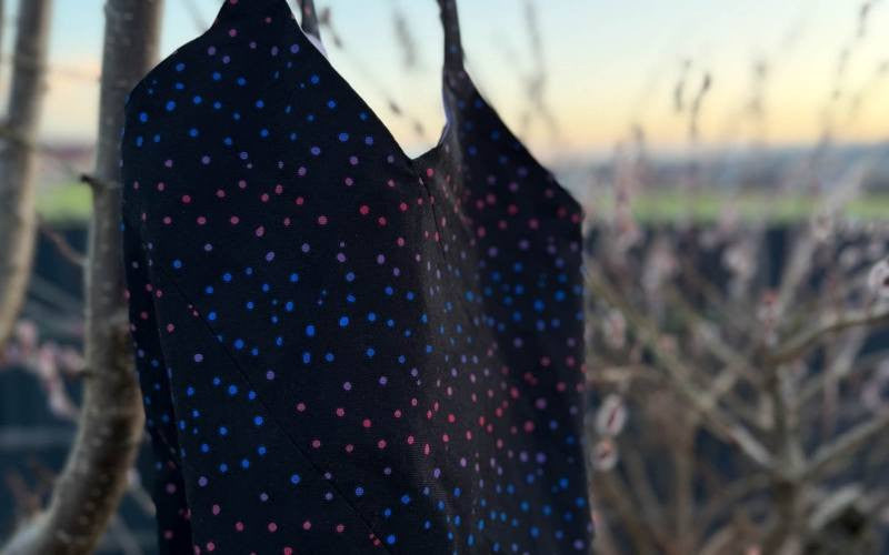 Canvas Abby Dots