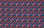 Cotton Poplin Bloom Navy