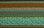 Canvas Wild Stripe Green