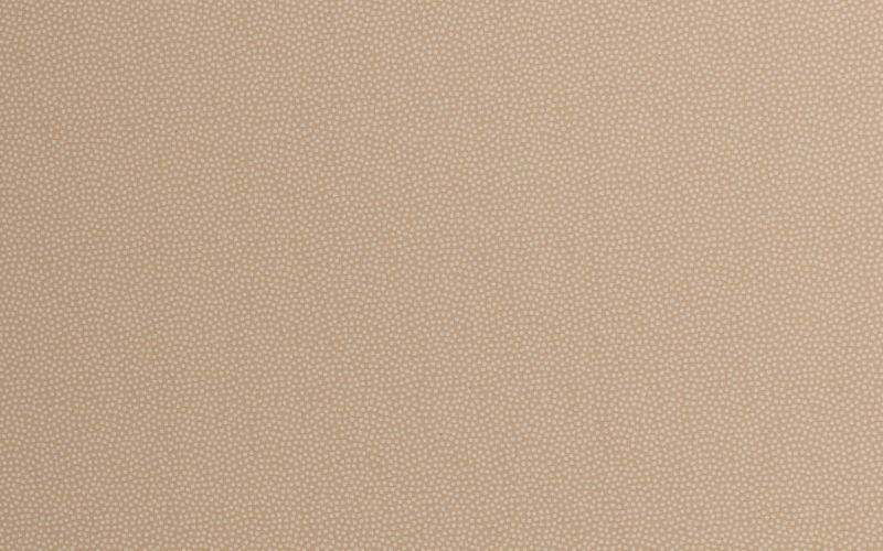 Poplin Cotton Two-Tone Polka Dot Beige