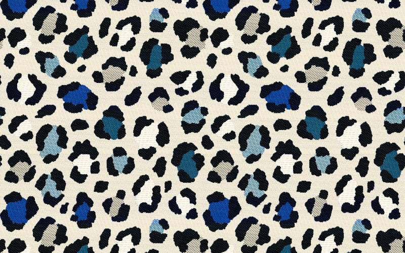 Jacquard Cougar