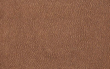 Vegan Skin