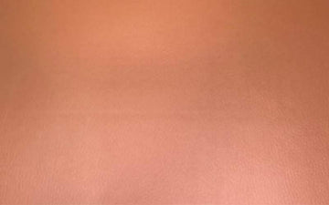 Vegan Skin