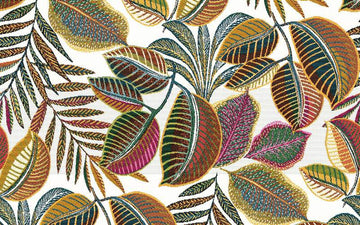 Jacquard Cocoa