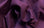 Algodón Liso Morado Oscuro