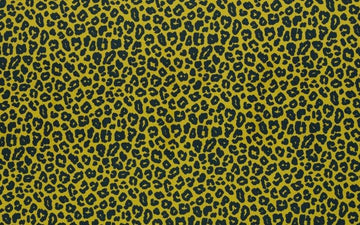 Leo Colors Poplin