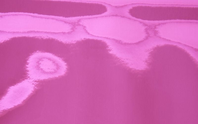 Tela Laminada TPU Pink Disco