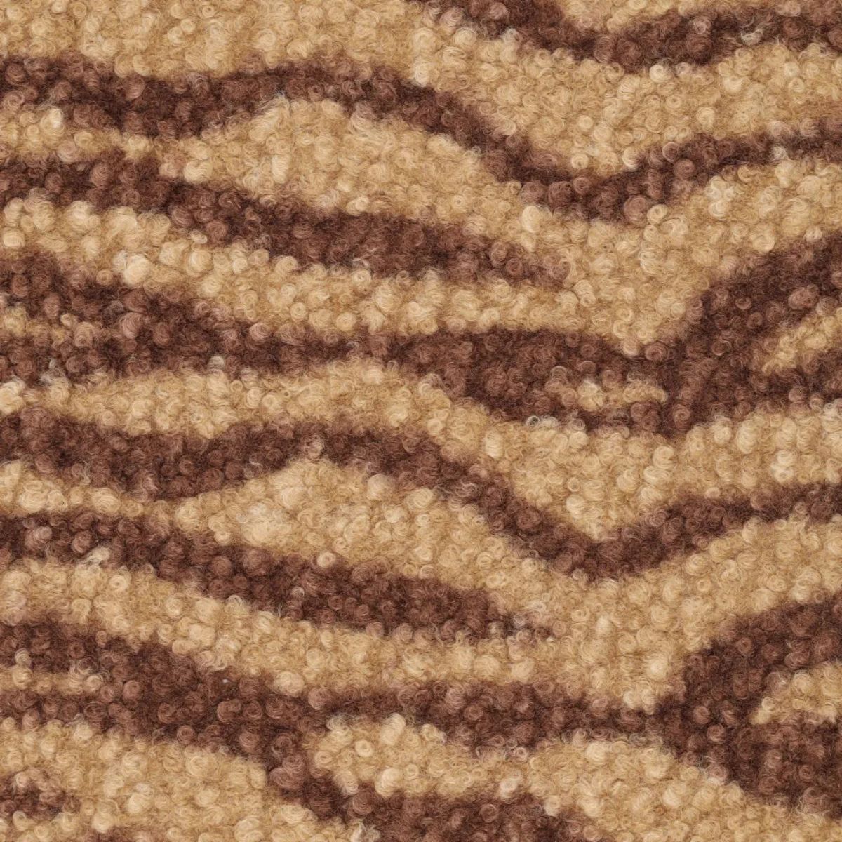 Boucle Zebra Tierra