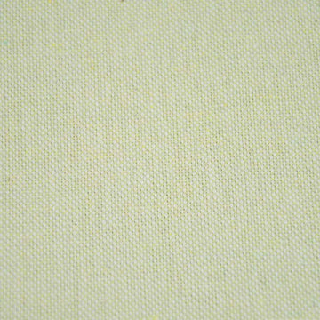 Recycled Canvas Katia Holly Green
